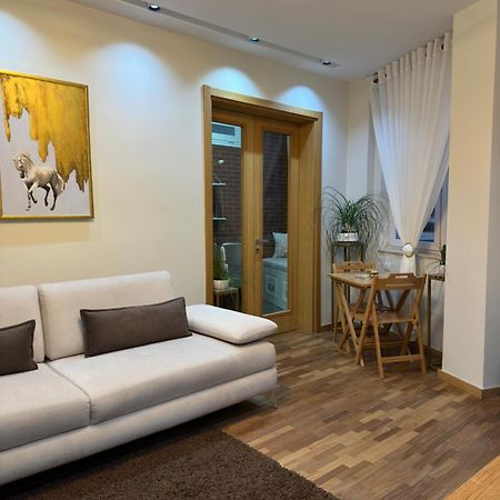 Dry Lake Apartment Tirana Esterno foto