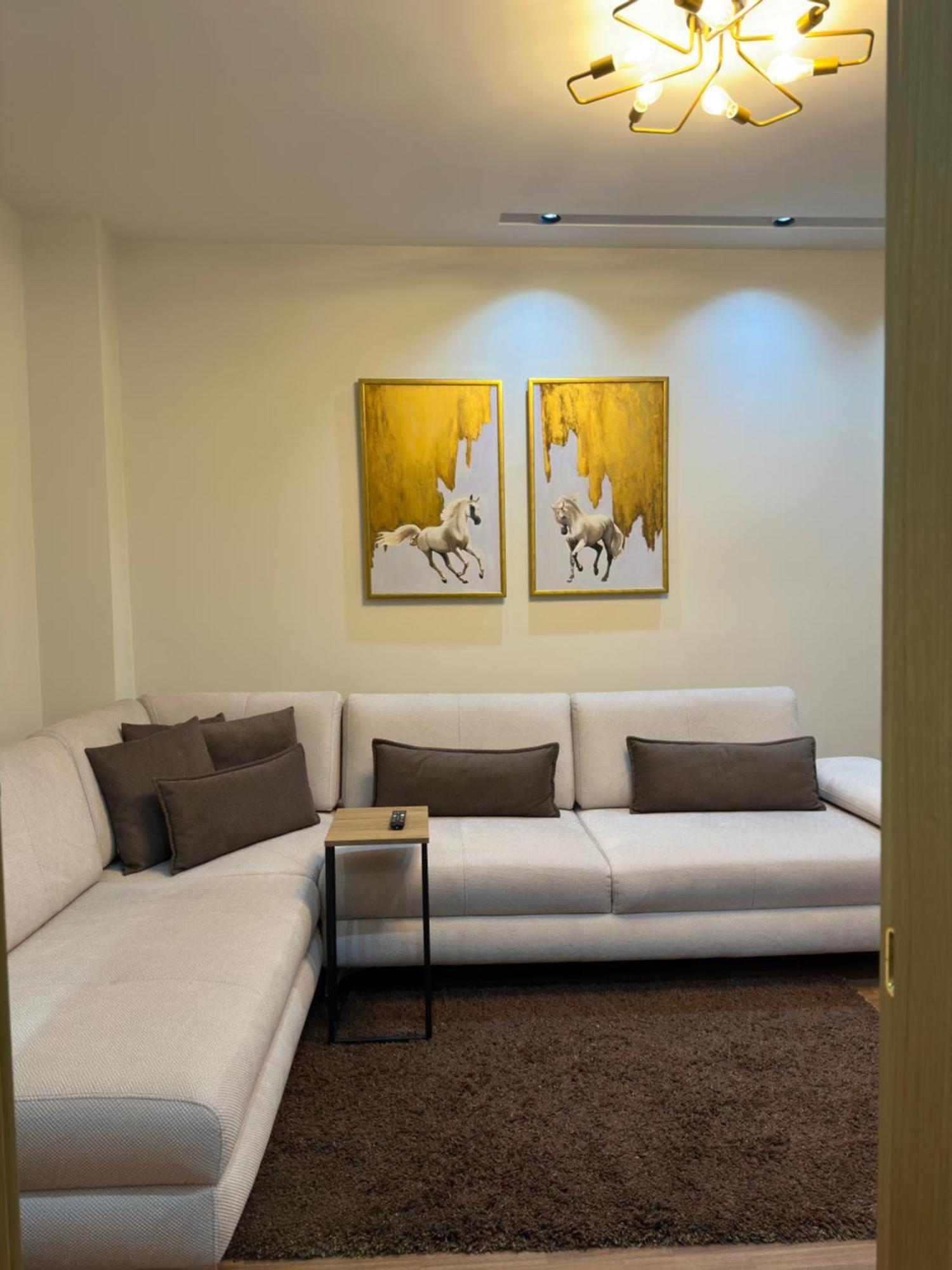 Dry Lake Apartment Tirana Esterno foto